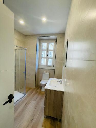a bathroom with a sink and a toilet and a shower at Suites Larios in Málaga