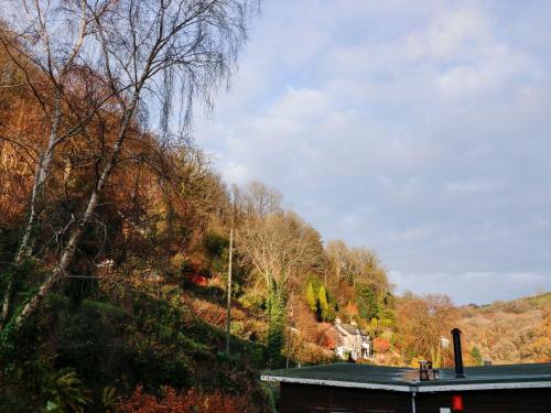 a house on the side of a hill with trees at 22 Two Little Ducks in Lynton