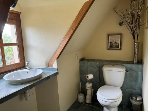 une salle de bain avec toilettes et lavabo dans l'établissement Petit Loulet, à Puylagarde