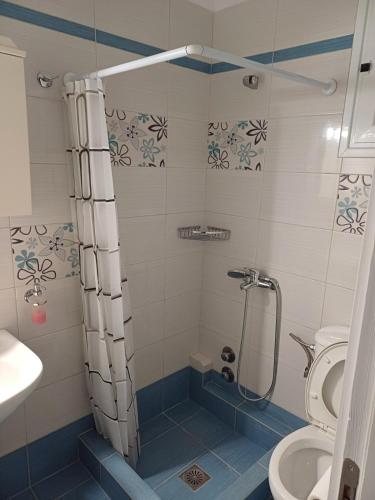 a bathroom with a shower and a toilet at Pefki Apartment 6 in Artemísion