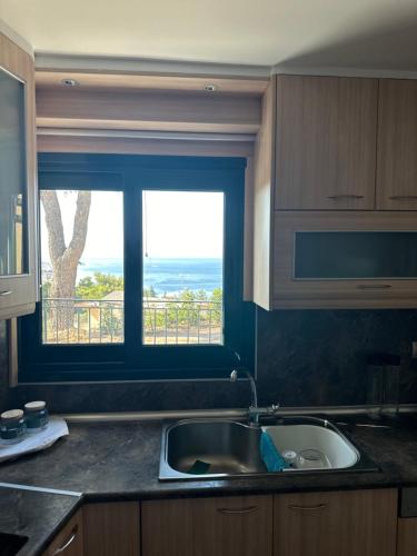 a kitchen with a sink and a window with a view at Marble Home in Egira