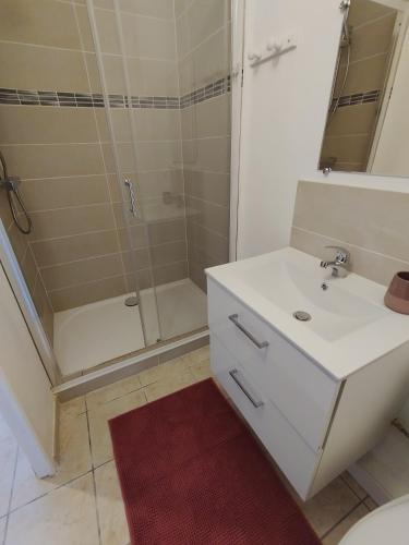 une salle de bain avec un lavabo blanc et une douche dans l'établissement grand studio, à Limoges