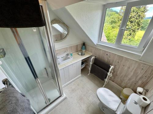 a bathroom with a shower and a toilet and a sink at Fairhaven in Betws-y-coed
