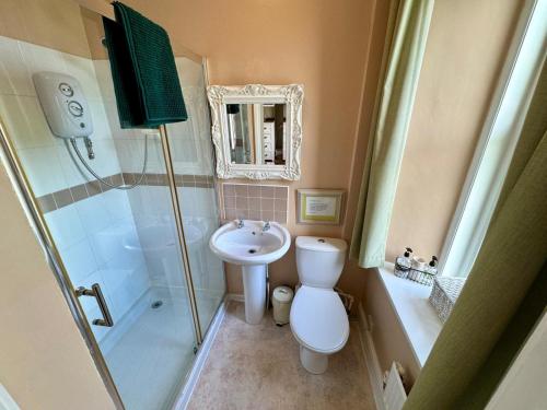a bathroom with a toilet and a sink and a shower at Fairhaven Stay in Betws-y-coed