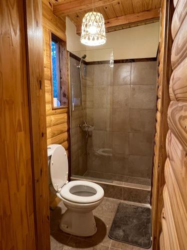 a bathroom with a toilet and a shower at La Venecia Cabañas in San Rafael