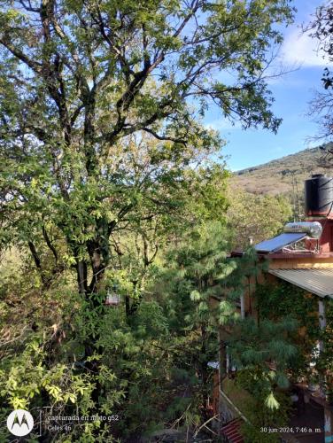 a tree next to a house with a mountain in the background at Casa Ecológica Pablo in Curva La Pera