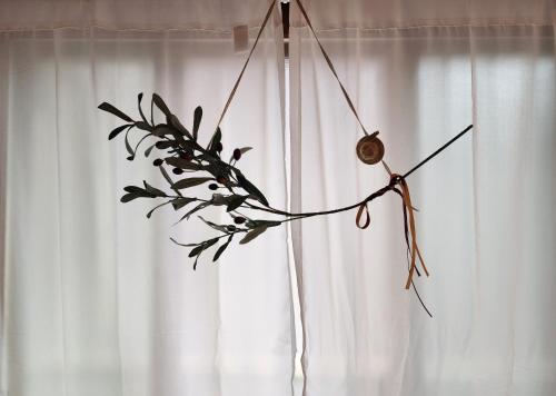 a plant is hanging in front of a curtain at Lucy Stay in Seoul