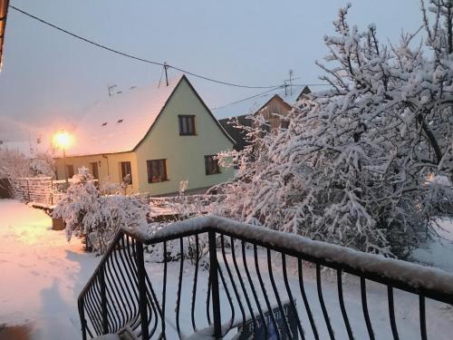 a house with snow covered trees and a fence at le chemin du meunier in Riquewihr