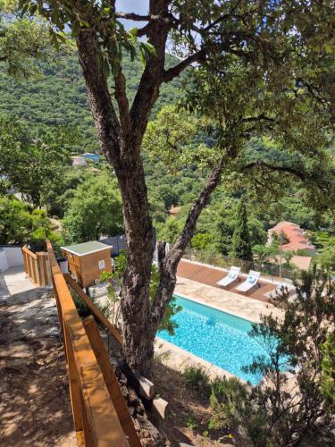 une piscine à côté d'un arbre avec un banc dans l'établissement Vue mer exceptionnelle, à Cavalaire-sur-Mer