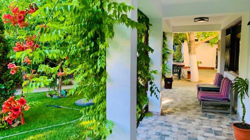 Fotografie z fotogalerie ubytování Casa Palaghia v destinaci 2 Mai