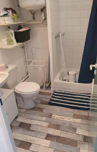 La salle de bains est pourvue de toilettes, d'une baignoire et d'une douche. dans l'établissement Studio bleu festival 2025, à Avignon