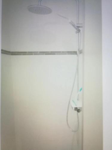 une douche avec un rideau de douche dans une salle de bain dans l'établissement Maison confortable à La Ciotat avec terrasse privée, à La Ciotat