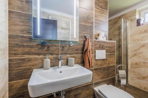 a bathroom with a sink and a toilet at HP APARTMÁNY SKIAREÁL- Buková Hora v Orlických horách 100 m od lanovky in Červená Voda