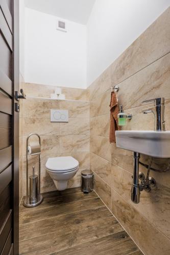 a bathroom with a toilet and a sink at HP APARTMÁNY SKIAREÁL- Buková Hora v Orlických horách 100 m od lanovky in Červená Voda