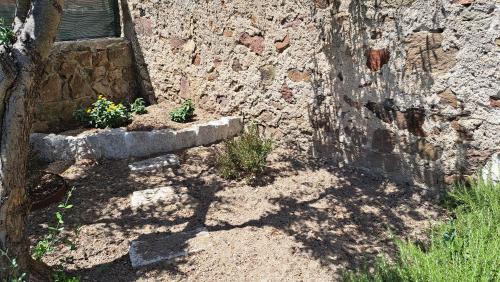a stone wall with two plants in a flower pot at Villa Teresa in Oschiri