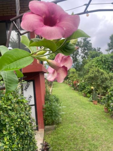 Jardín al aire libre en Himalaya Serene View Guest House & Farm Stay