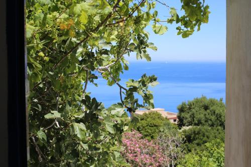 a view of the ocean from a tree at Sérénité Marine in Fnidek