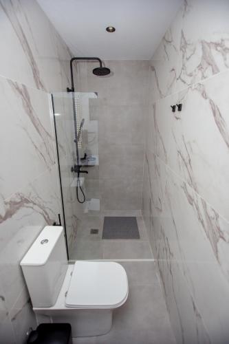 a white bathroom with a toilet and a shower at LA PLAZA luxury suites NEA VRASNA in Nea Vrasna