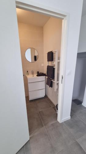 une salle de bain avec un lavabo et un miroir dans l'établissement T2 37m2 proche Ker Lann Parc expo Aéroport, à Lassy