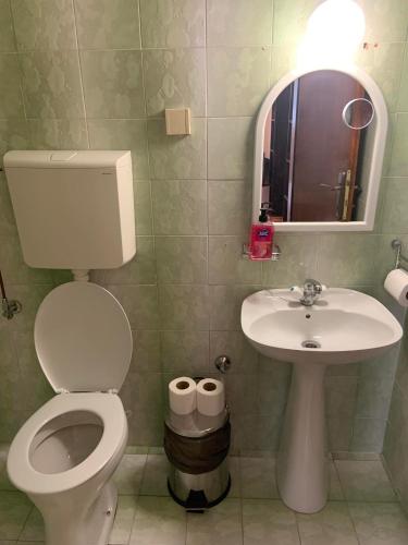 a bathroom with a toilet and a sink and a mirror at Apartments Dunja in Sveti Stefan