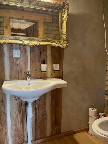 a bathroom with a sink and a mirror at Auci Guest house 1 in Liepāja