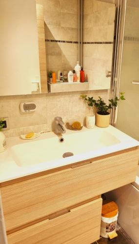 une salle de bain avec un lavabo et un miroir dans l'établissement Wonderful room in Paris, à Sartrouville