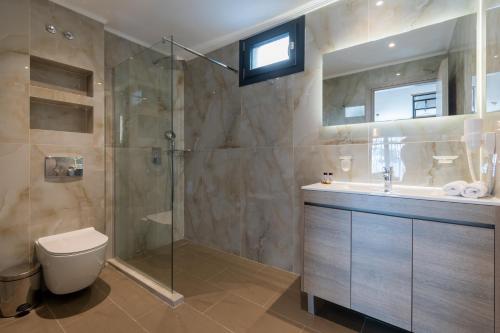 a bathroom with a shower and a toilet and a sink at Elena's Luxury Sea View House 1 in Neos Marmaras