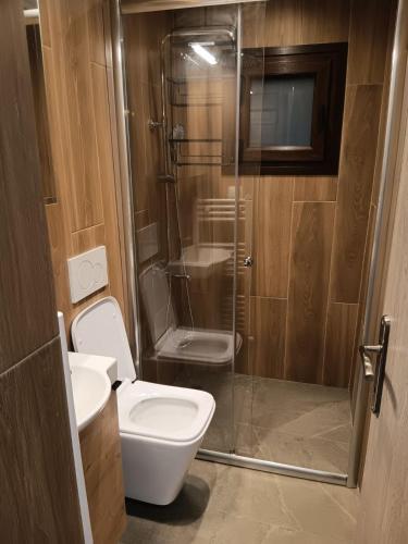 a bathroom with a toilet and a glass shower at Coralia's House in Nea Moudania