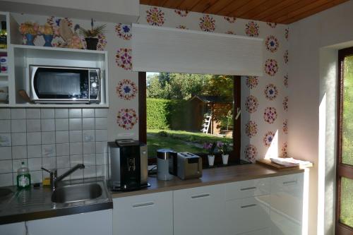 a kitchen with a sink and a microwave at Land und Leute - Landleben Apartment in Fritzlar