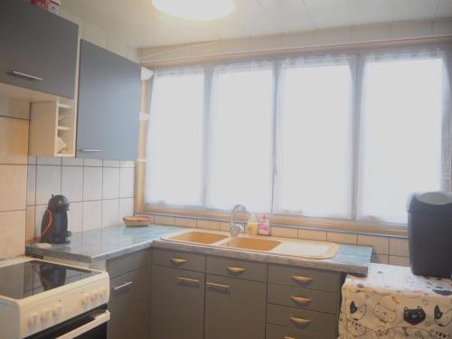 une cuisine avec un évier et deux fenêtres dans l'établissement Charmant Appartement au Pecq - Proche de Saint-Germain-en-Laye, à Le Pecq