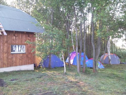 Aed väljaspool majutusasutust Vigio Brasta camping