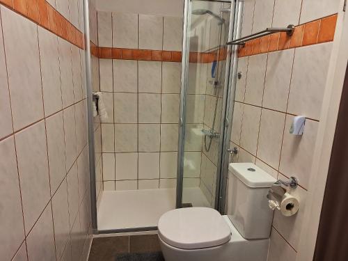 a bathroom with a toilet and a glass shower at Appartements Regina in Mörbisch am See
