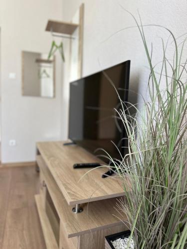 TV a/nebo společenská místnost v ubytování Lauvas Līcis