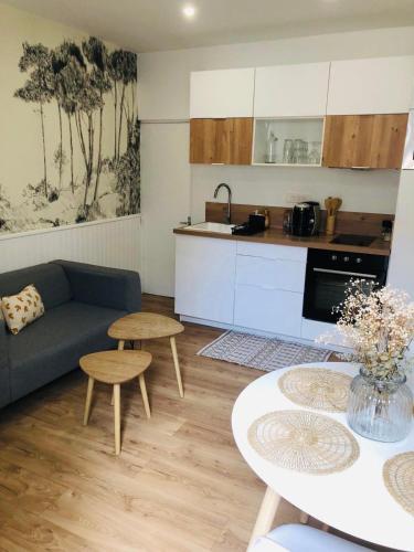 Appartement Triplex Gare Angers