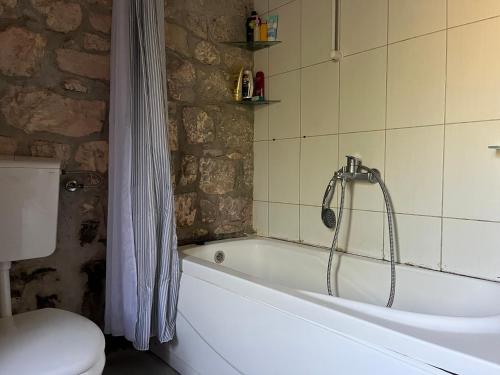 a bathroom with a bath tub and a toilet at Artist's House on the Mountain in Zelenika