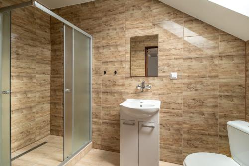 a bathroom with a toilet and a shower at WDZYDZANIN in Wdzydze Tucholskie