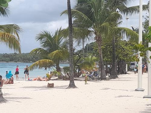 un grupo de personas en una playa con palmeras en Sunrise, en Sainte-Anne