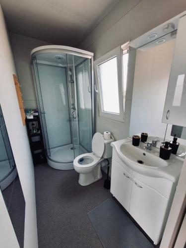 Un baño con ducha, inodoro y lavabo. en Serenity Countryside Mobile Houses, en Smilčić