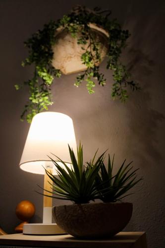 a table with a lamp and a plant on a wall at Appartamento Val Da Rin - Vista sulle Tre Cime in Auronzo di Cadore