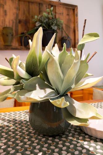 a vase with a plant sitting on a table at Appartamento Val Da Rin - Vista sulle Tre Cime in Auronzo di Cadore
