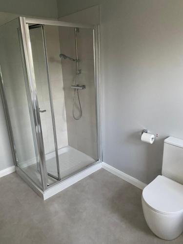a shower stall in a bathroom with a toilet at Killyfole lakeside lodges in Corranny