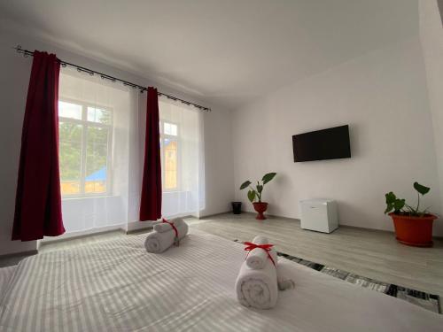 a living room with two animals sitting on the floor at Casa Ama in Steierdorf
