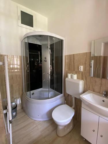a bathroom with a shower and a toilet and a sink at Casa Ama in Steierdorf