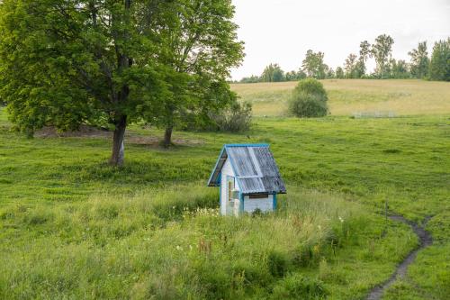 a small house in the middle of a field at Countryside tent near Tõrva in Jõgeveste
