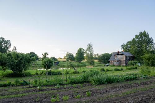 a farm with an old barn in a field at Countryside tent near Tõrva in Jõgeveste