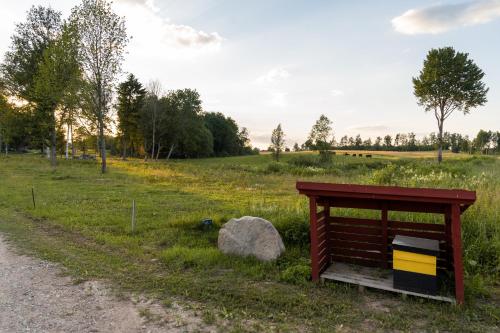 a bench sitting on the side of a dirt road at Countryside tent near Tõrva in Jõgeveste