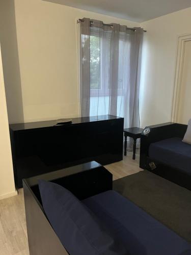 un salon avec un lit et une fenêtre dans l'établissement Fun en famille, à Gretz-Armainvilliers