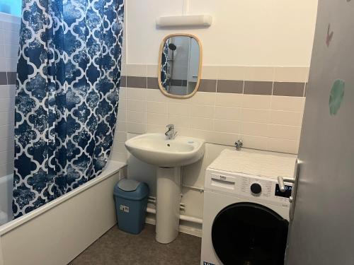 une salle de bain avec un lavabo et une machine à laver dans l'établissement Fun en famille, à Gretz-Armainvilliers