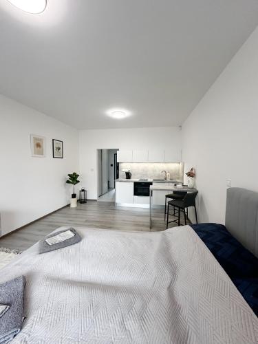 Кровать или кровати в номере DMR APARTMENTS Parkview