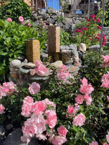 Gartenhotel Rosenhof bei Kitzbühelにある庭